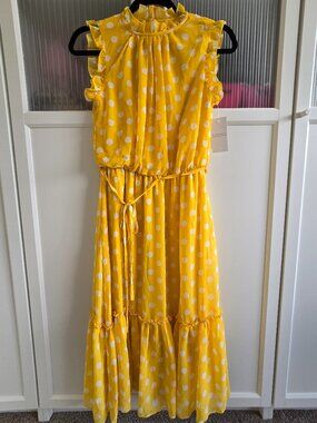 Tahari Crew Neck Sleeveless Ruffle Polka Dot Chiffon Dress, with Tag - XS